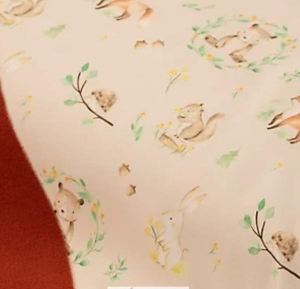 Softshellweste_Viento_Baby